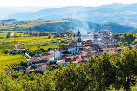 RECORRIENDO EL NORTE DE PORTUGAL : CORAZÓN DEL DUERO PORTUGUES Y OPORTO