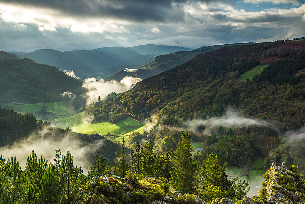 LOS ANCARES, LOS OSCOS, PLAYA DE LAS CATEDRALES Y GIJÓN