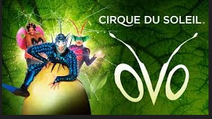 CIRCO DEL SOL  ESPECTÁCULO "OVO" EN  MADRID