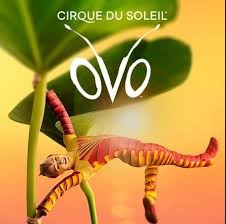 CIRCO DEL SOL  ESPECTÁCULO "OVO"