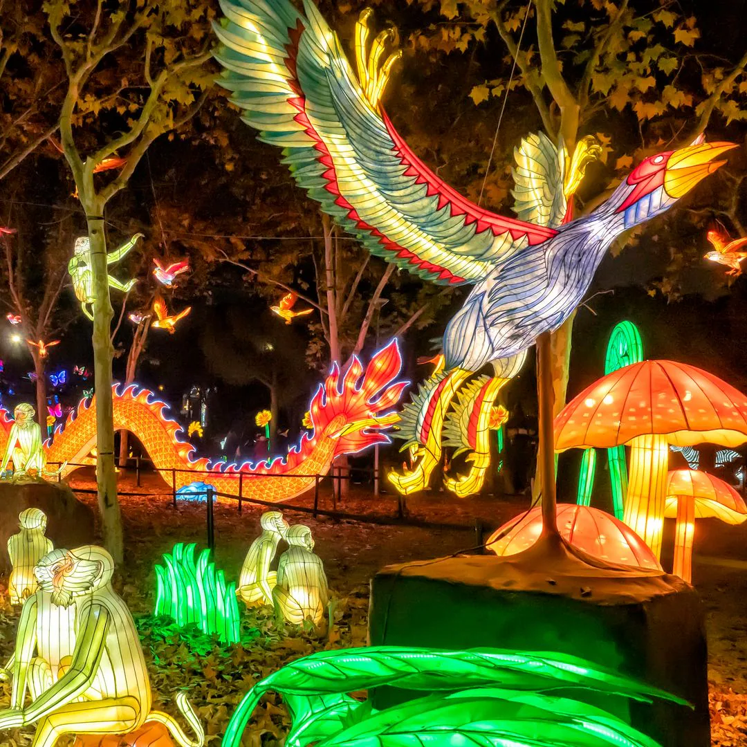 TORREJÓN DE ARDOZ ,PARQUE EUROPA y MÁGICAS NAVIDADES 20/12/25