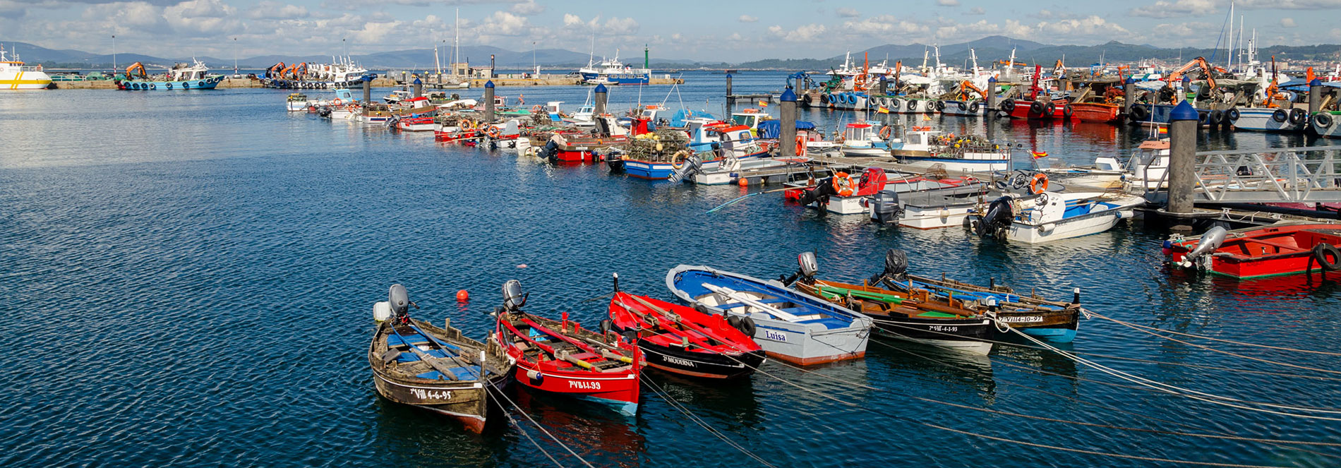 FIESTA DEL MARISCO