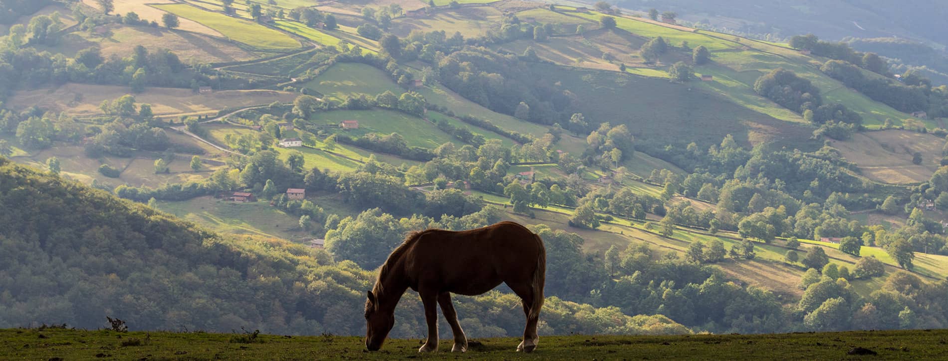 VALLES PASIEGOS Y SANTANDER